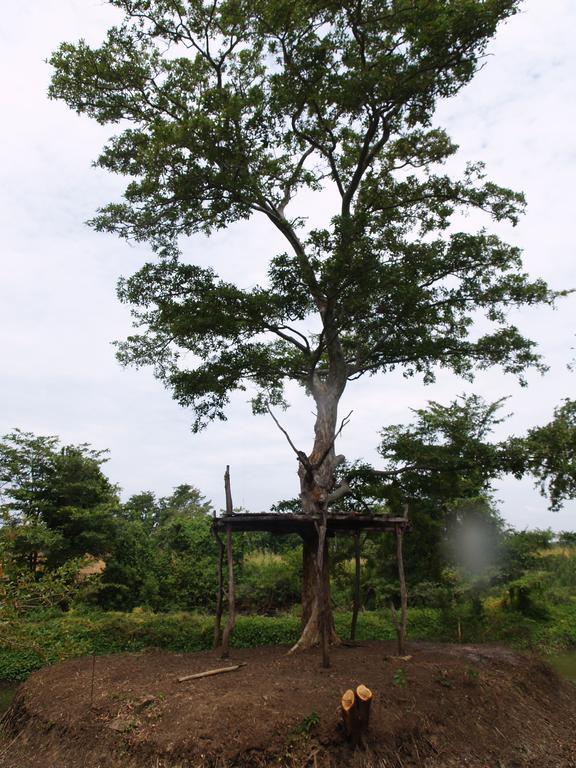 Welimaluwa Resort Sigiriya Kibissa Ngoại thất bức ảnh