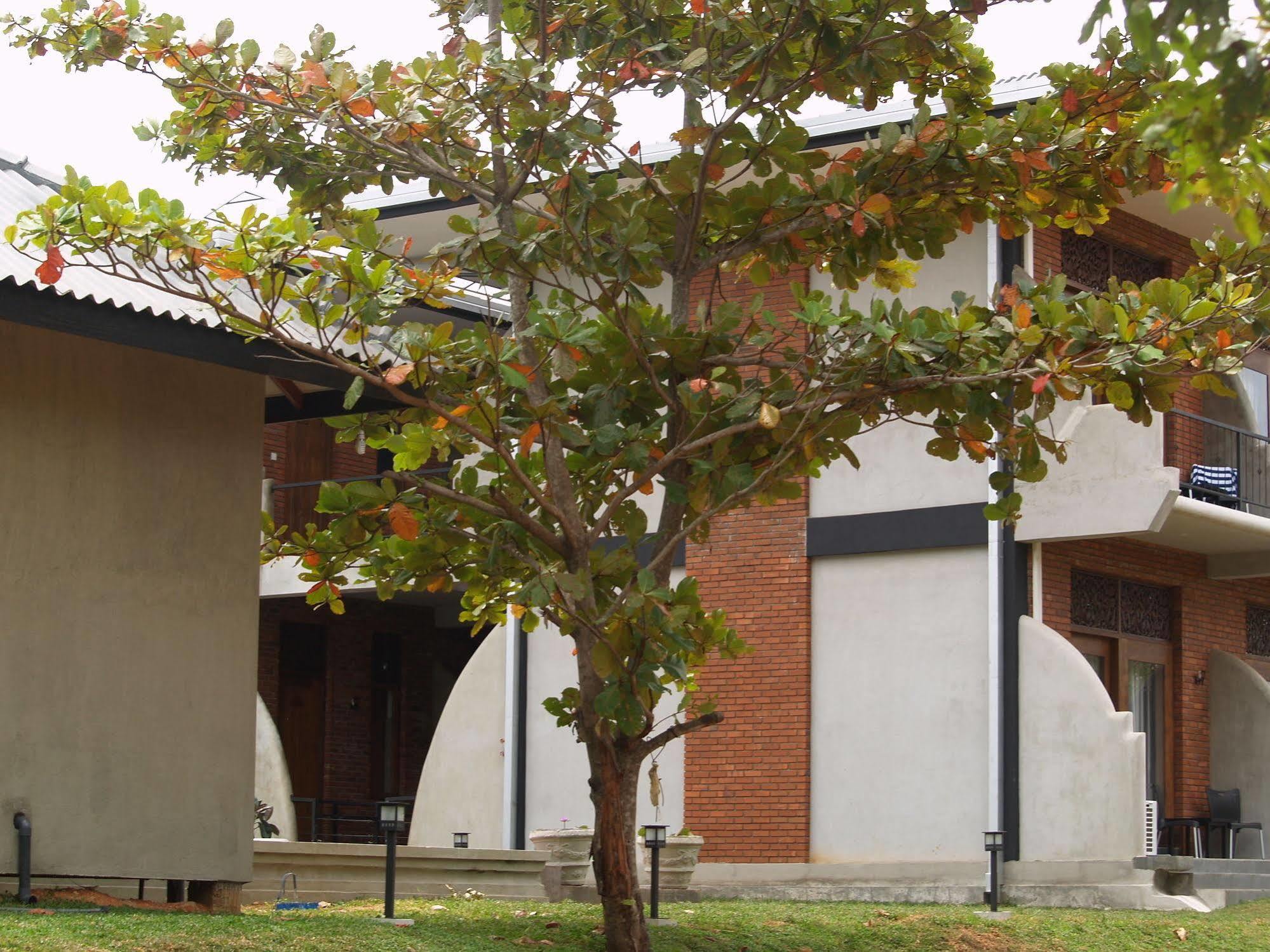 Welimaluwa Resort Sigiriya Kibissa Ngoại thất bức ảnh